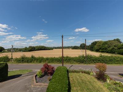 Picture 20